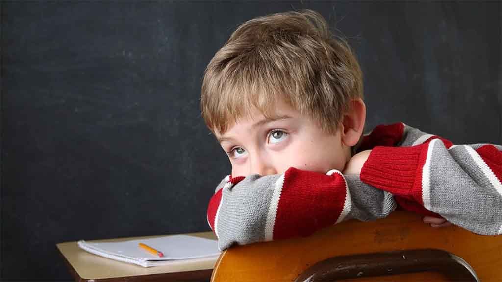 Educational opinions about