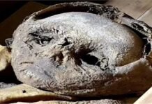 حكايات| مفاجآت مومياء رضيع.. أثرياء أوروبا أخفوا أطفالهم من الشمس